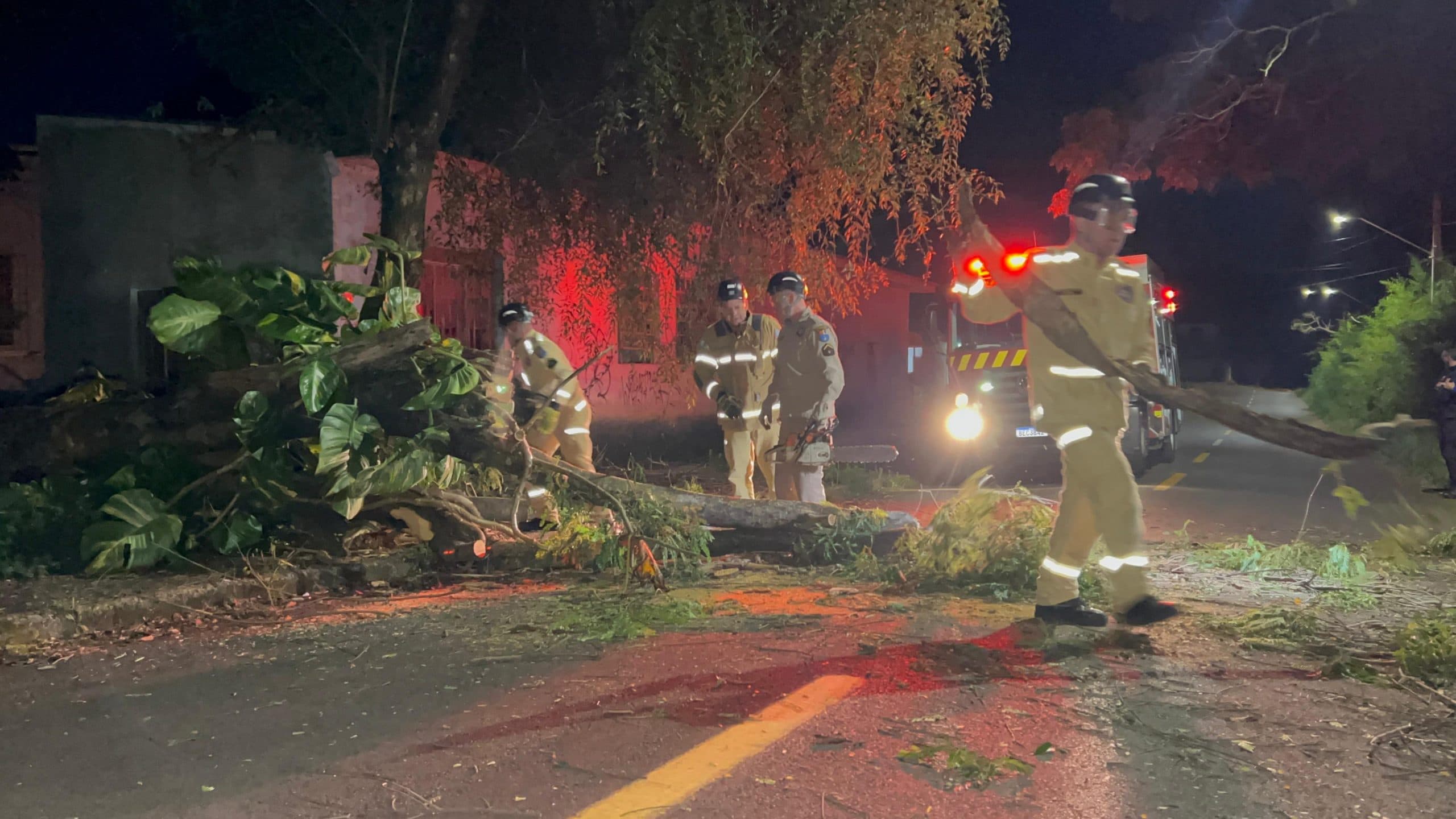 Árvore cai em rua de Ponta Grossa; bombeiros foram acionados