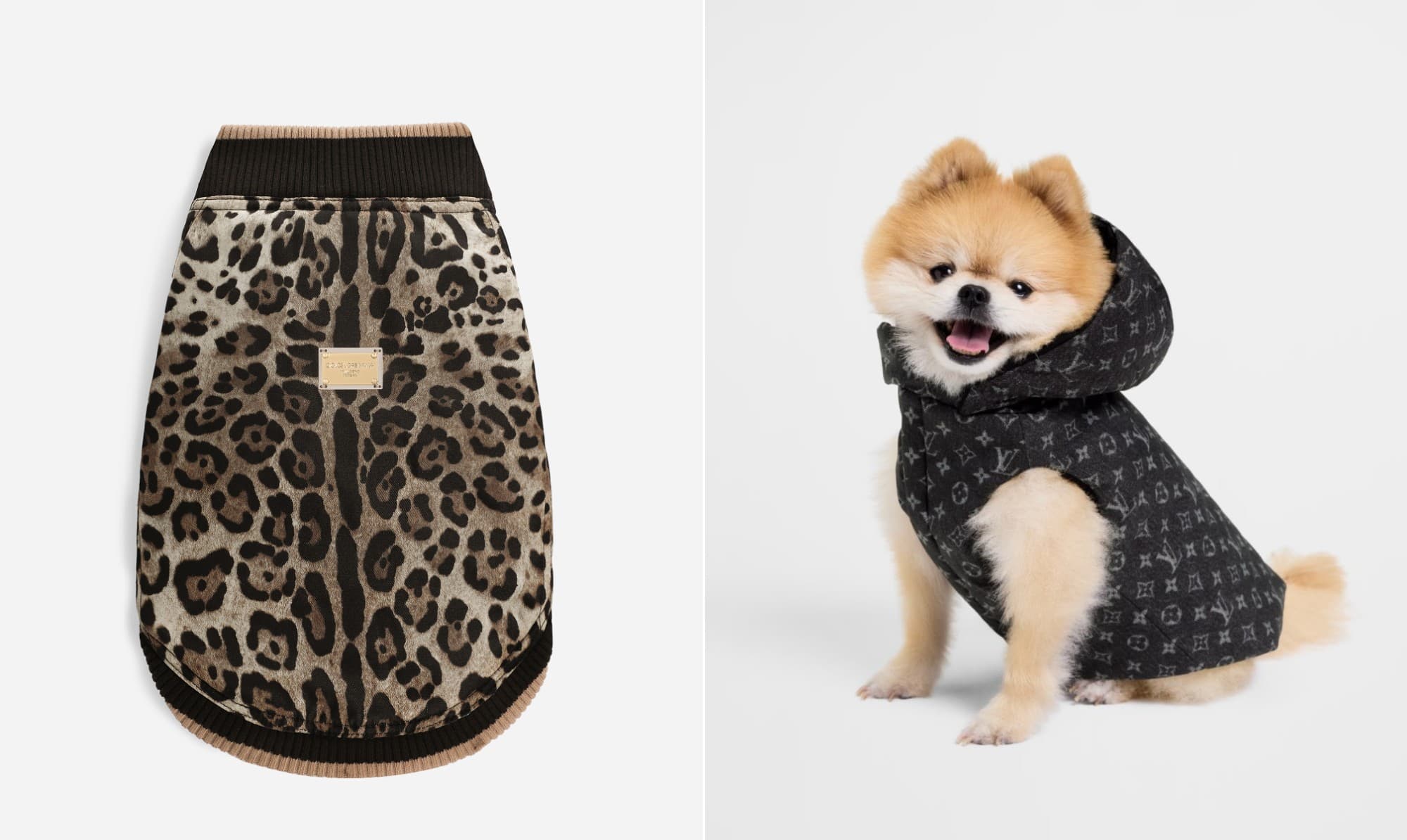 Marcas de luxo investem em produtos e serviços para pets