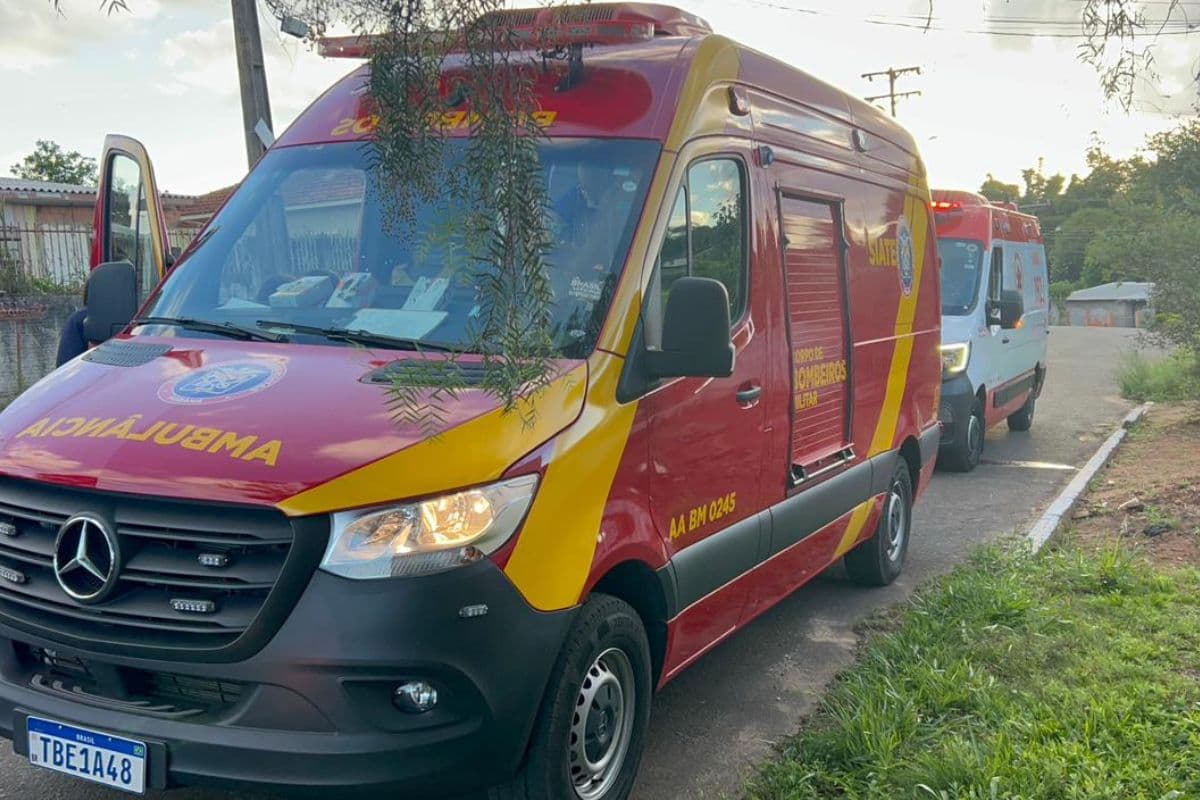Ataque de abelhas em Ponta Grossa deixa bebê, jovem e idoso feridos em Uvaranas