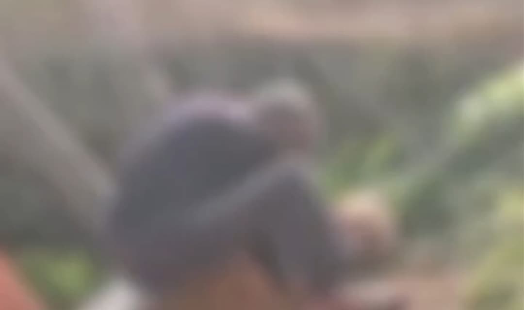 Vídeo: Idoso é flagrado cometendo abuso contra cadela de rua em Castro