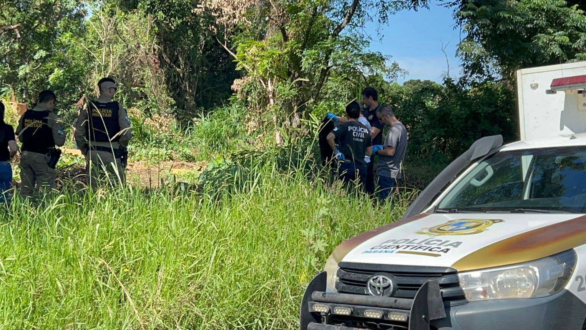 Morador detalha como encontrou o corpo de mulher no mato em Ponta Grossa