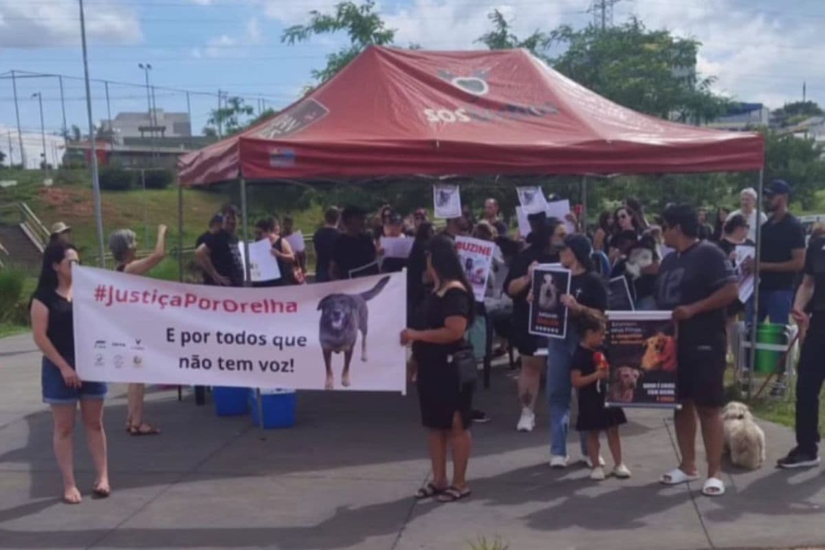 Manifestação Justiça por Orelha reúne moradores e entidades no Lago de Olarias, em Ponta Grossa
