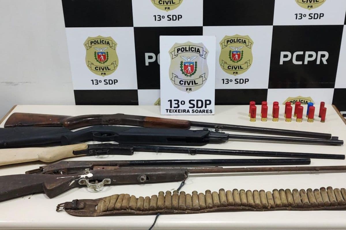 Denúncia de violência psicológica leva à prisão de homem com arsenal em Teixeira Soares