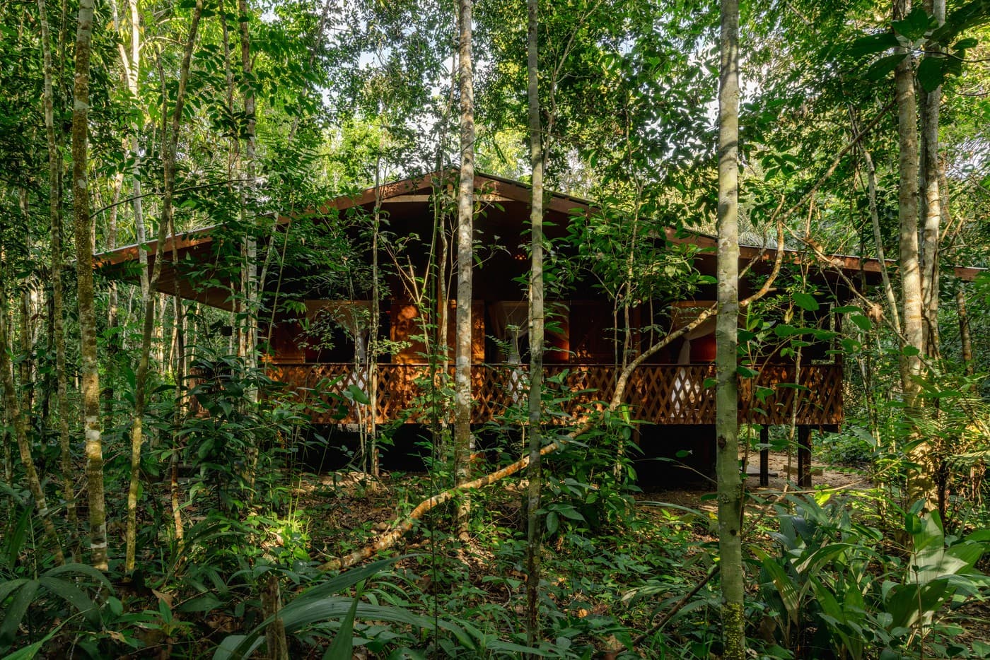 Amigos criam vila para hospedagem na floresta amazônica