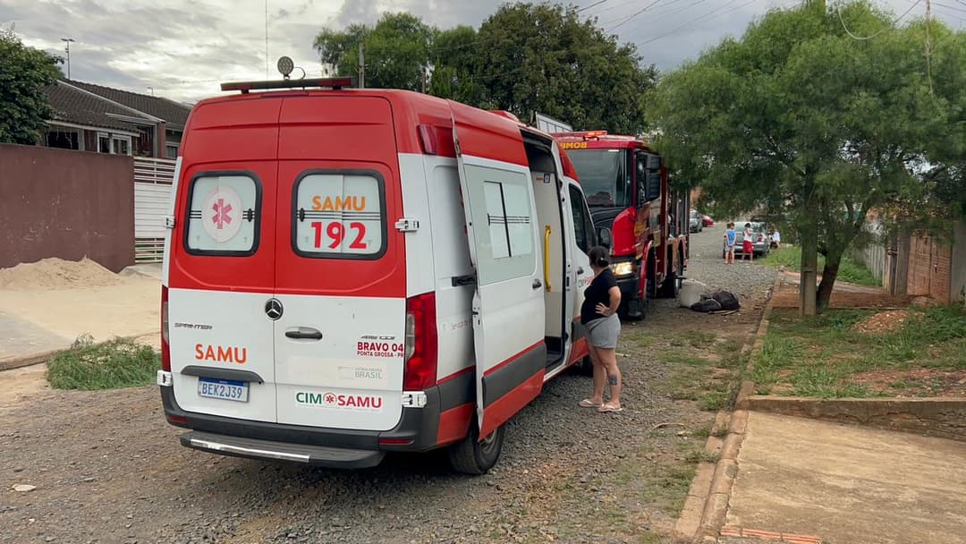 Bombeiros resgatam pitbull