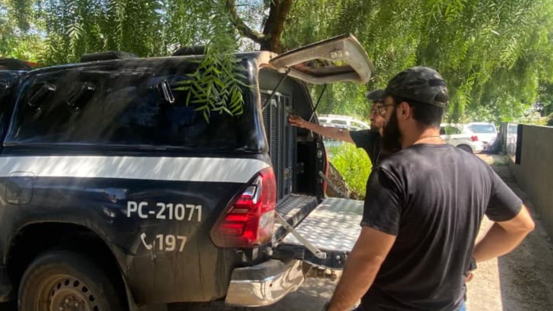 Polícia Civil prende homem após furtos e danos a comércios em Castro