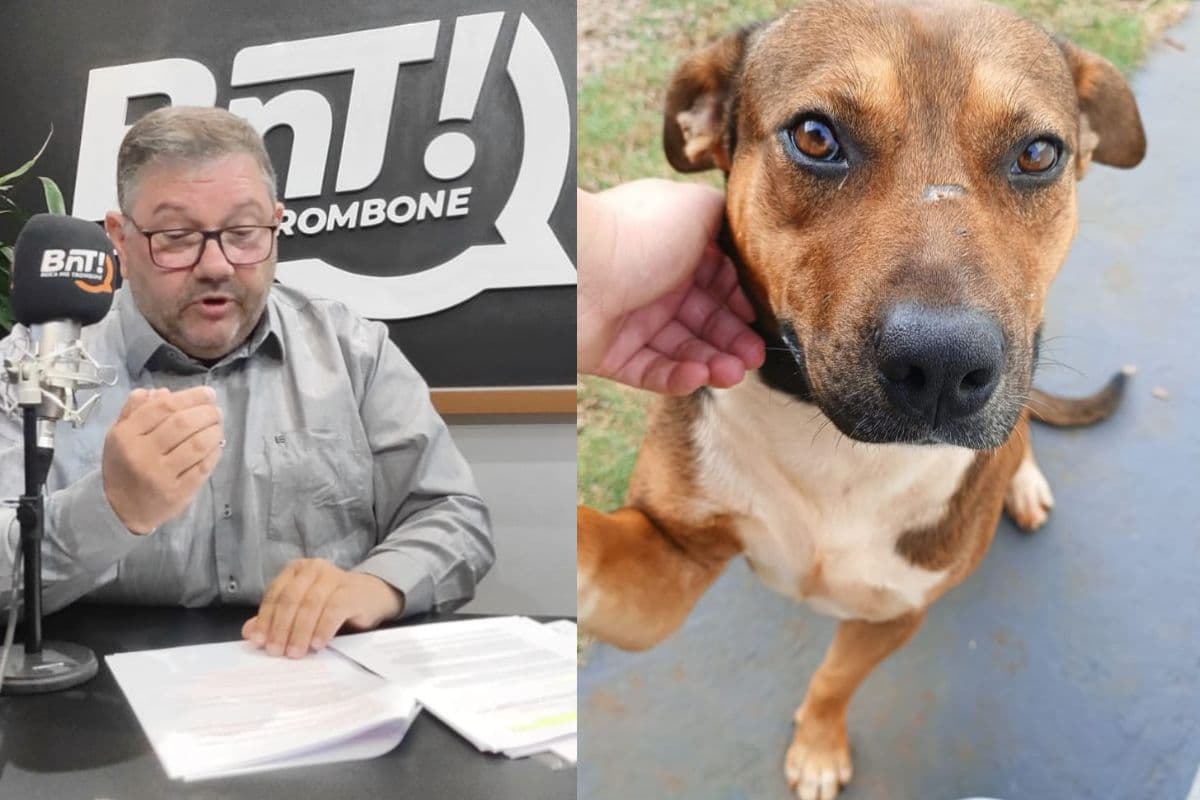 Clinicão Ponta Grossa explica funcionamento do CRAR e protocolo de castração de animais de rua