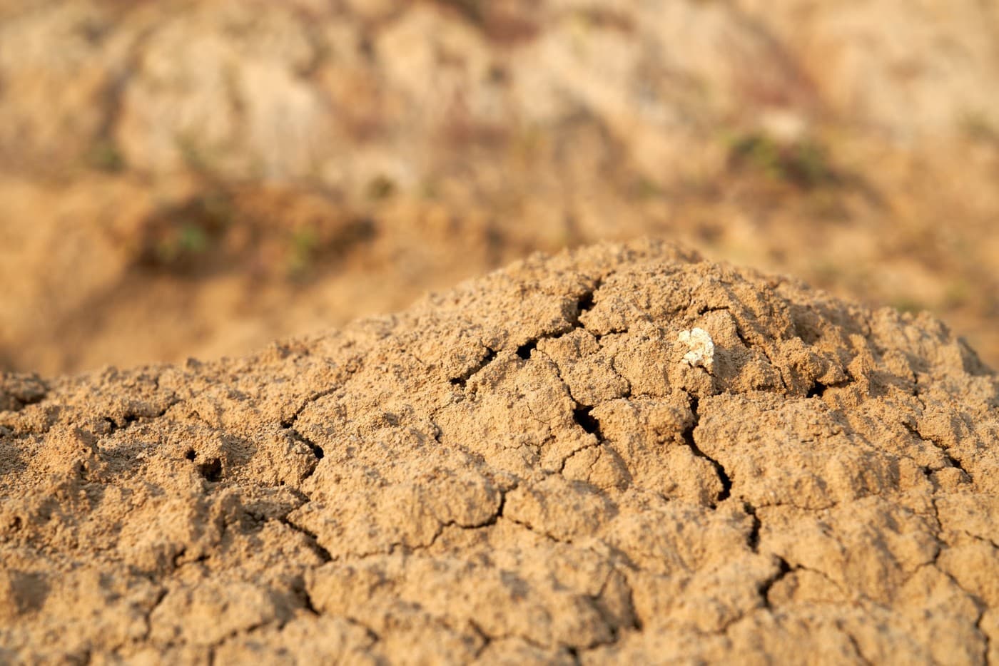 Areia do deserto na construção civil: 9 iniciativas