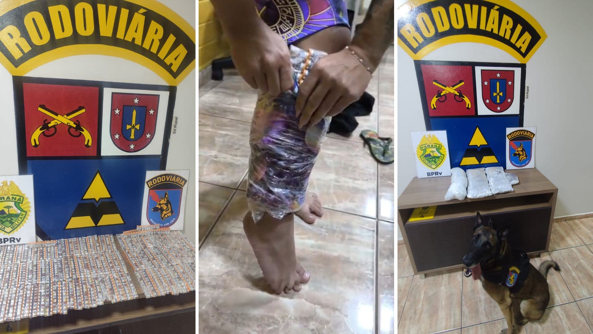 Duas mulheres e uma adolescente são detidas com ampolas de Tirzepatida e capulho em Ponta Grossa