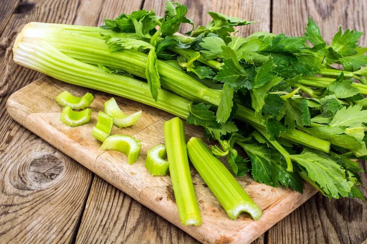 Aipo: o que é, usos e receitas para preparar