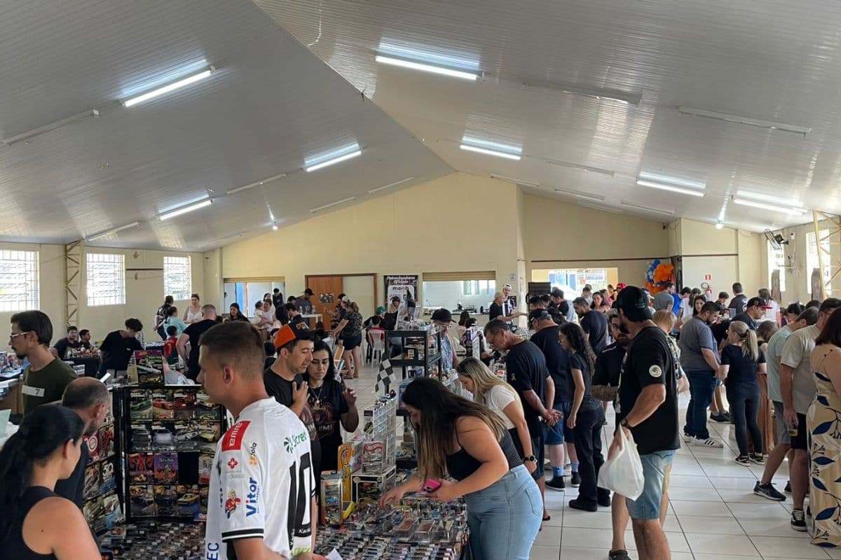 Encontro de Colecionadores em Ponta Grossa terá troca de figurinhas, vinil e miniaturas neste sábado (30)