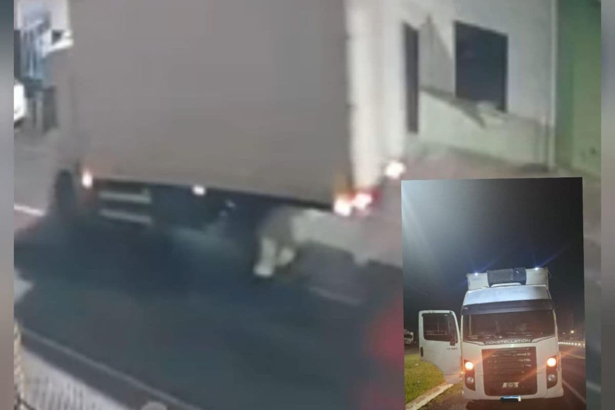 Polícia encontra caminhão suspeito após acidente que matou motociclista em Irati