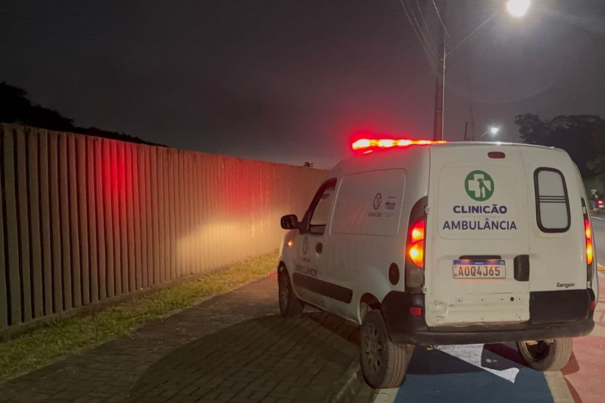 Autópsia vai apontar causa da morte de cachorro após denúncia em Ponta Grossa