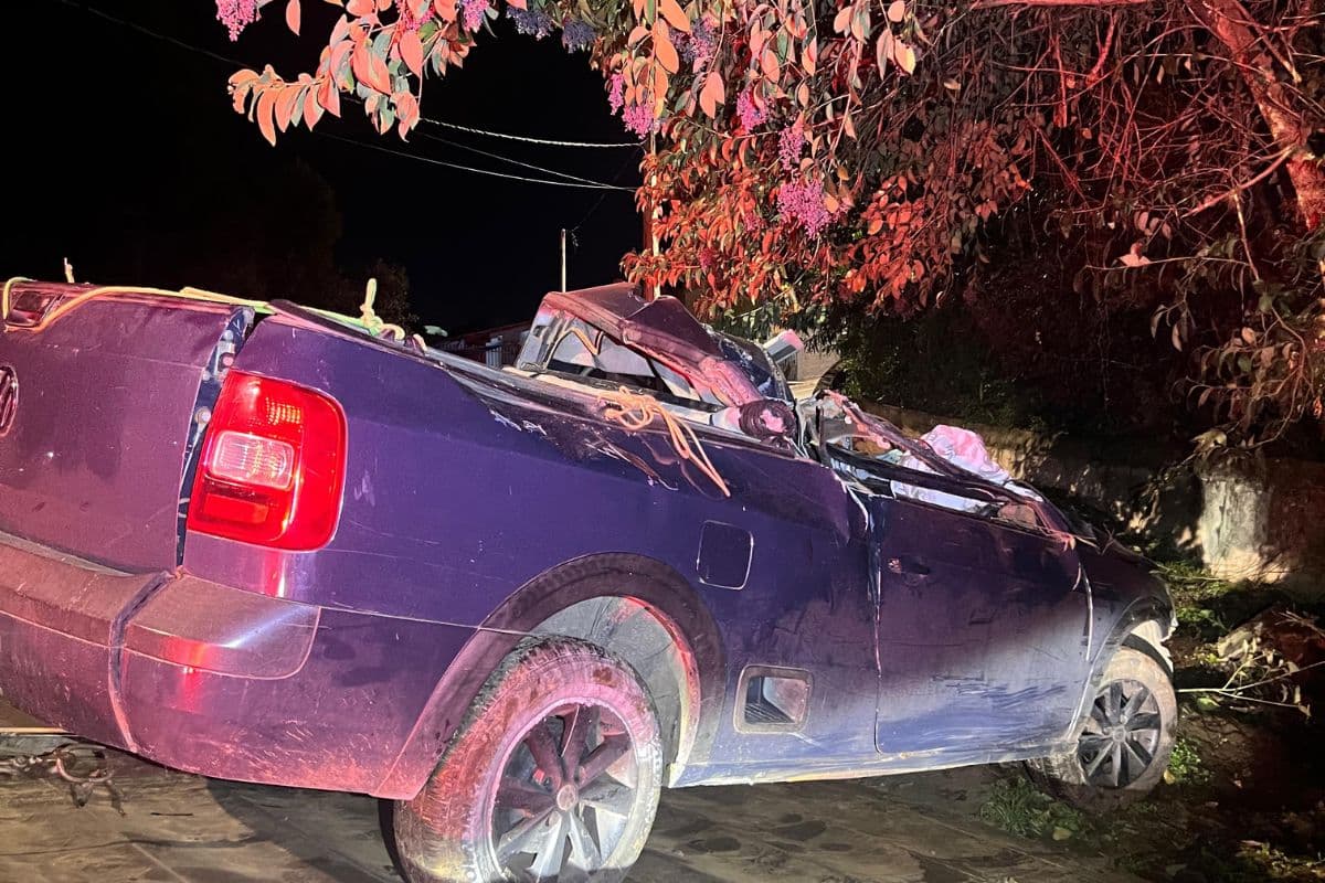 Motorista desvia de carro que invadiu a pista e bate em árvore na Vila Estrela, em Ponta Grossa