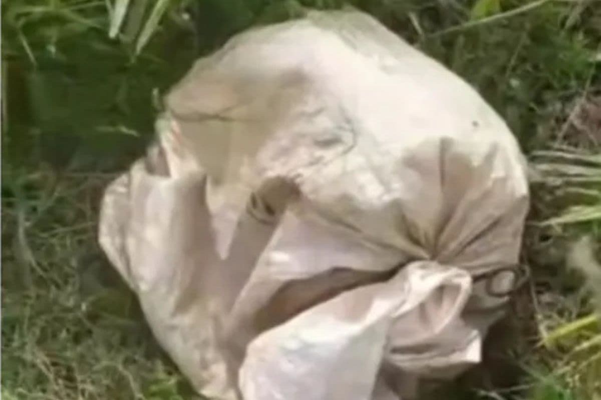 Homem encontra cachorro abandonado dentro de saco fechado em Ponta Grossa