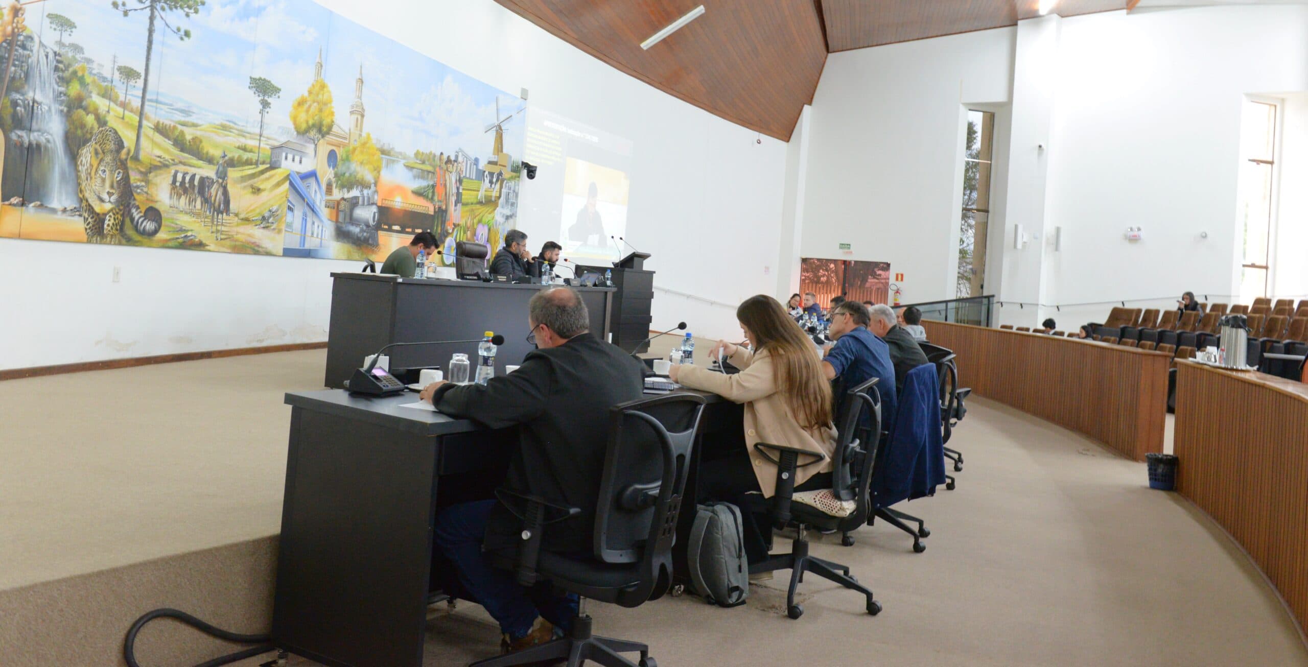 Vereadores de Castro aprovam Programa Bolsa Atleta