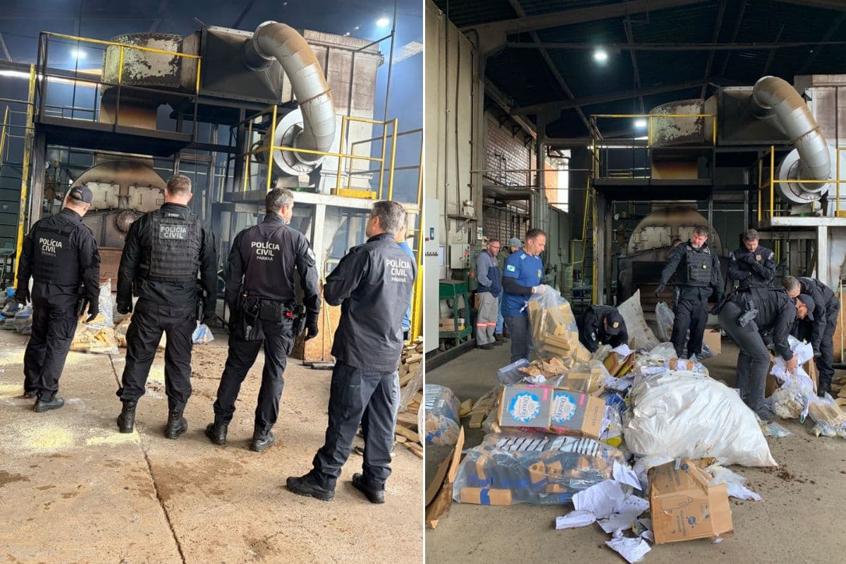 Polícia Civil incinera mais de 800 kg de drogas apreendidas em PG