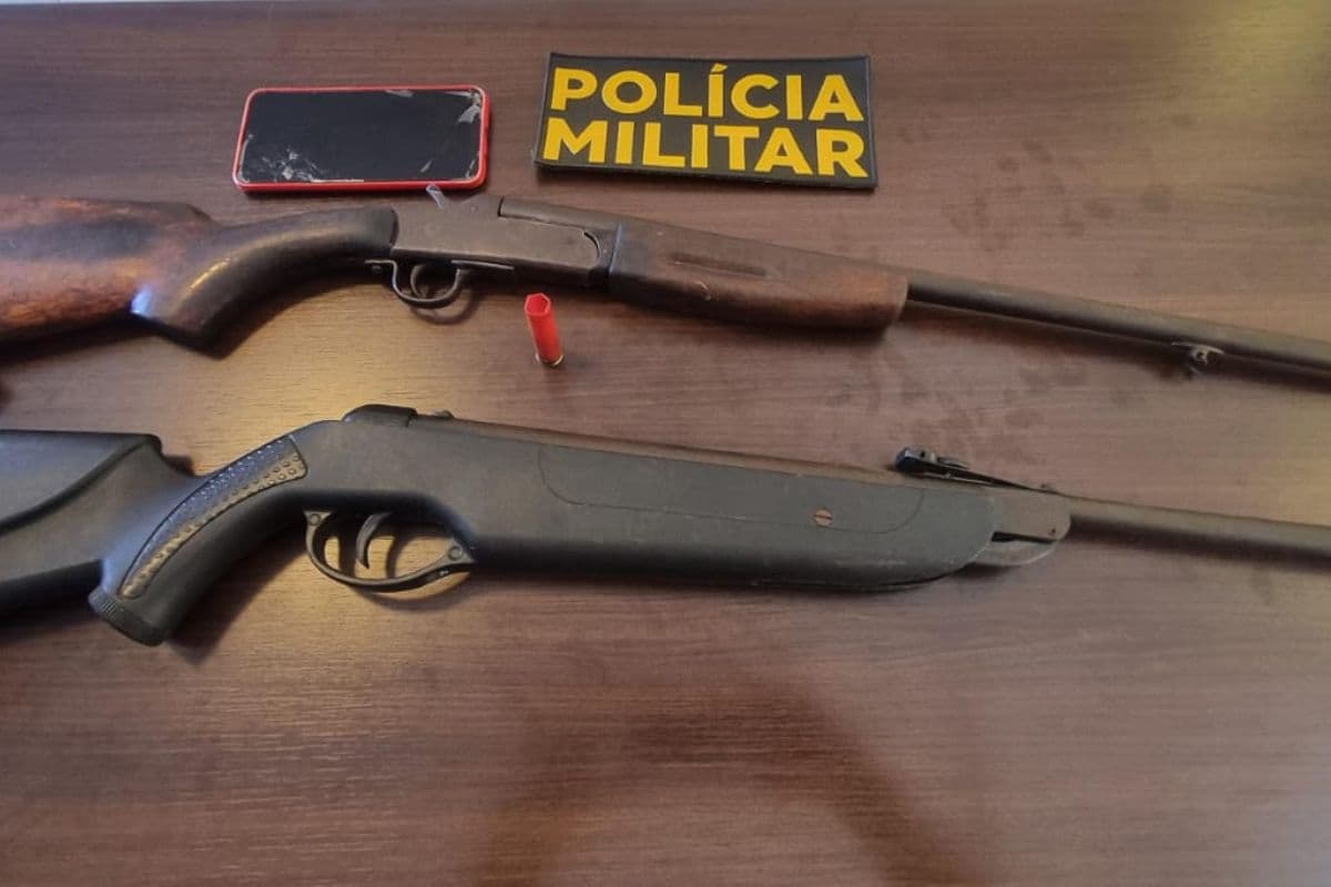 armas apreendidas