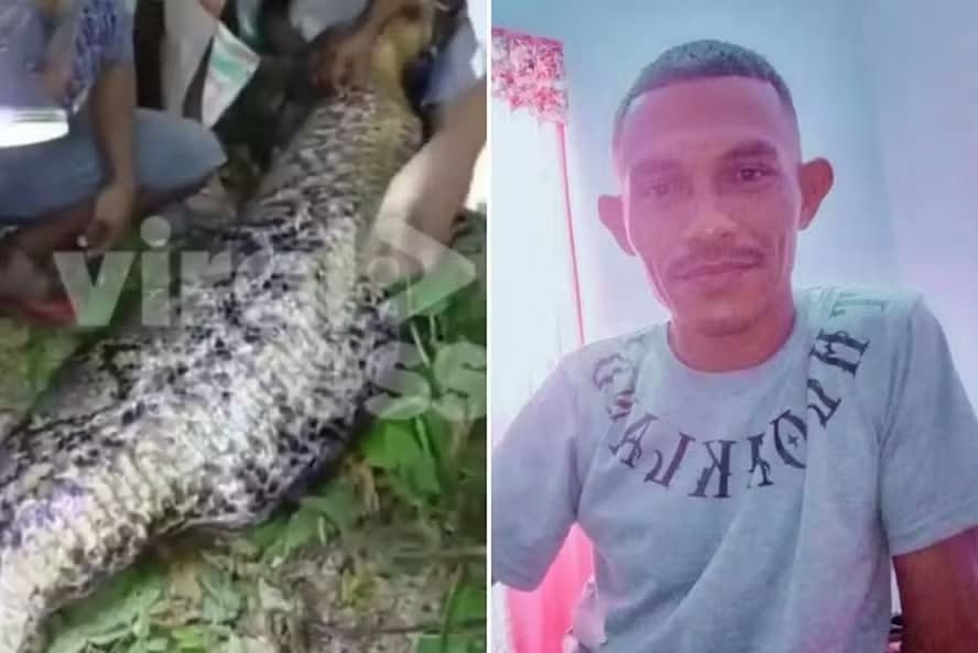 Homem engolido por píton de 7m na Indonésia
