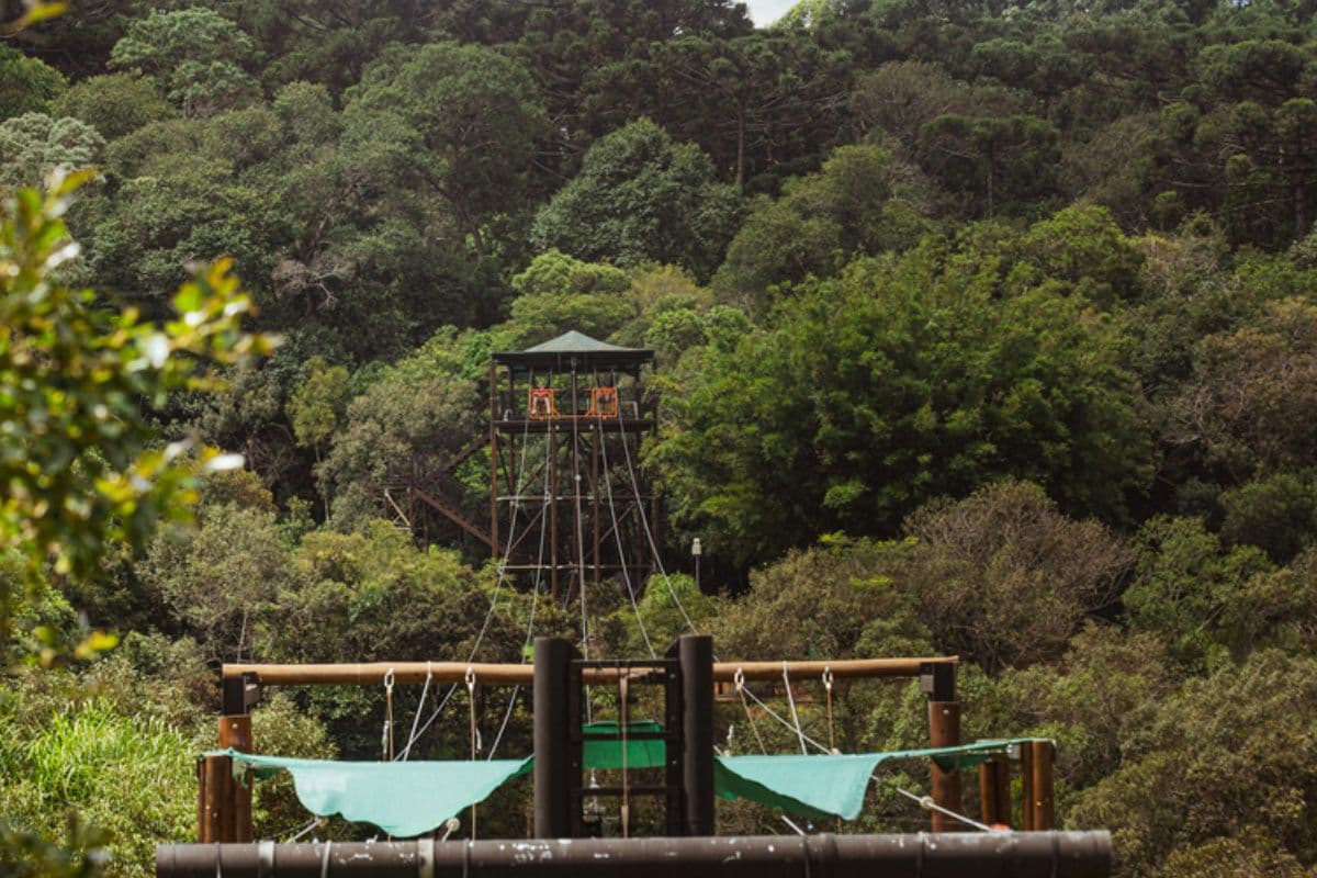 Parque Vila Velha transforma Dia dos Pais em convite para um passeio pela natureza