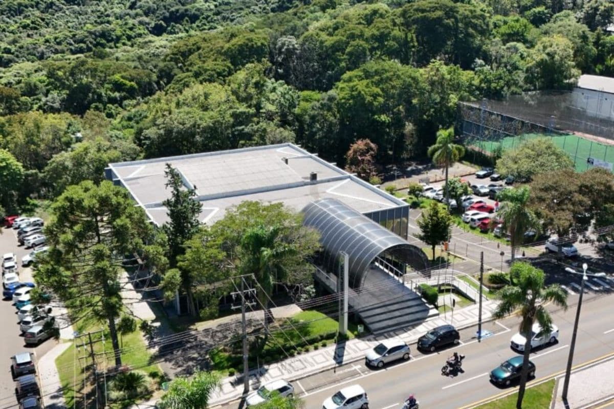 Política de Climatização Ecológica e Arborização nas Escolas Públicas vira lei em Ponta Grossa