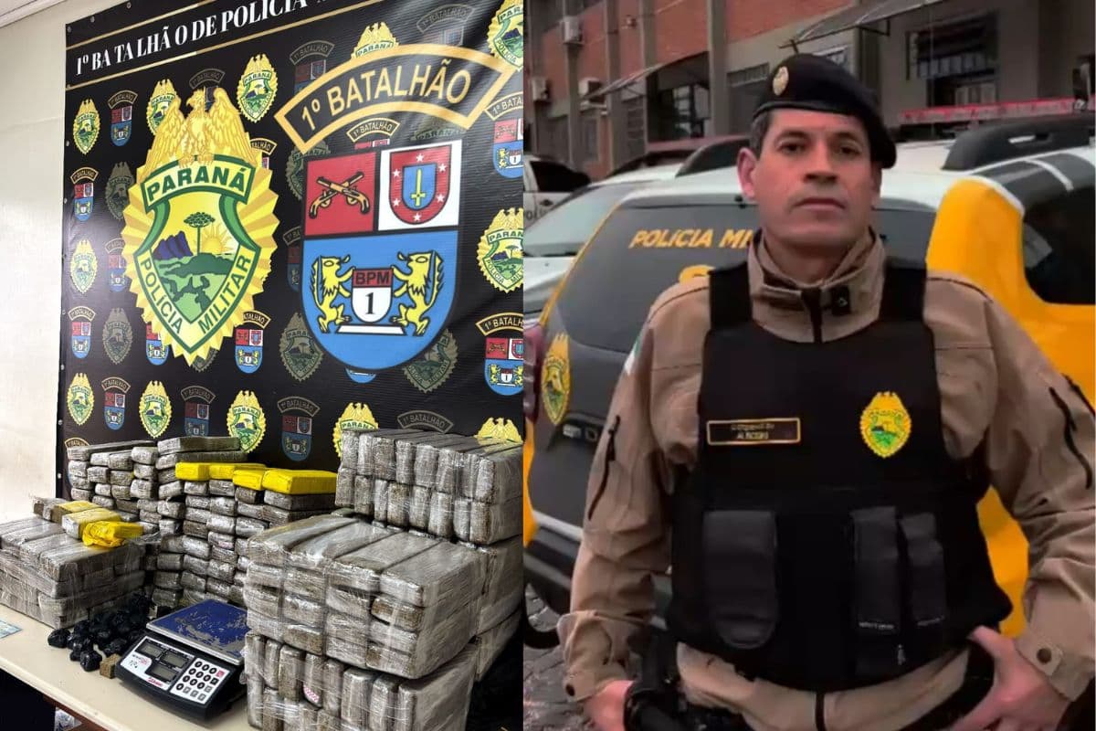 PM detalha apreensão de 225 kg de maconha em Ponta Grossa