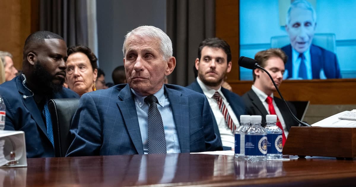Ex-assessor de Fauci admite culpa em caso de covid registros