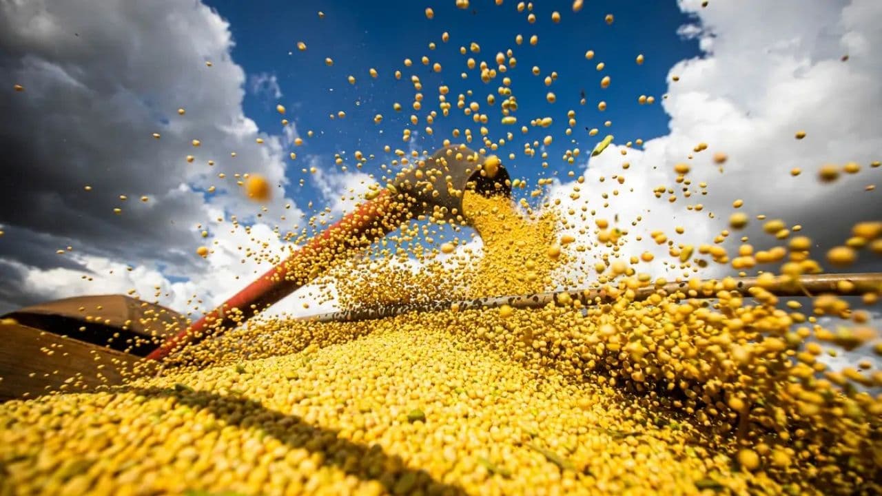 Produção agrícola brasileira supera R$ 927 bilhões em 2025
