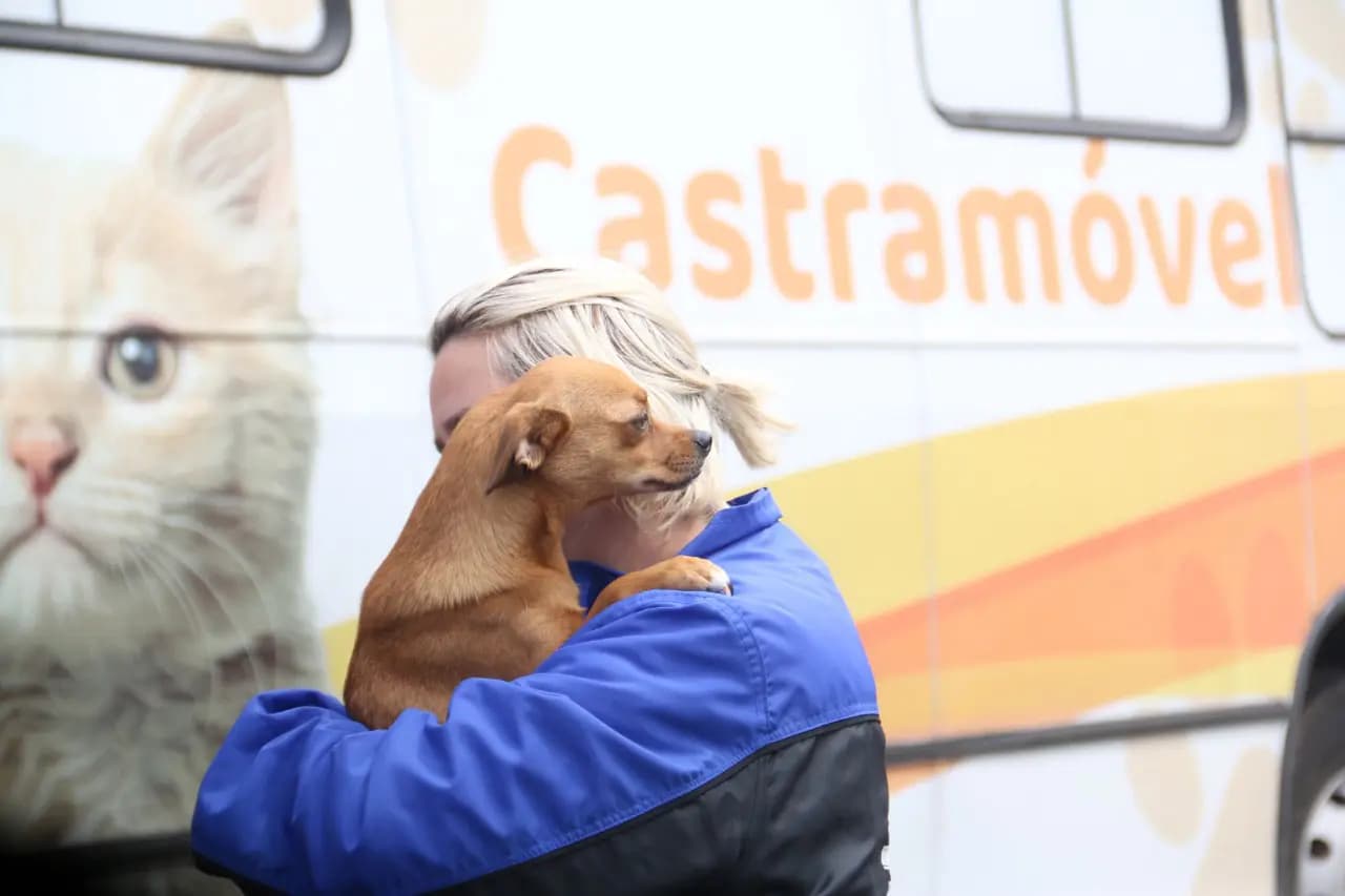 CastraPet Paraná está atendendo em Ponta Grossa nesta semana