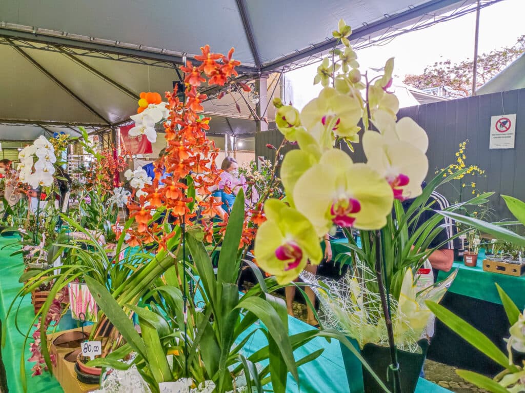 11ª Expo&Flor inicia dia 02 de setembro