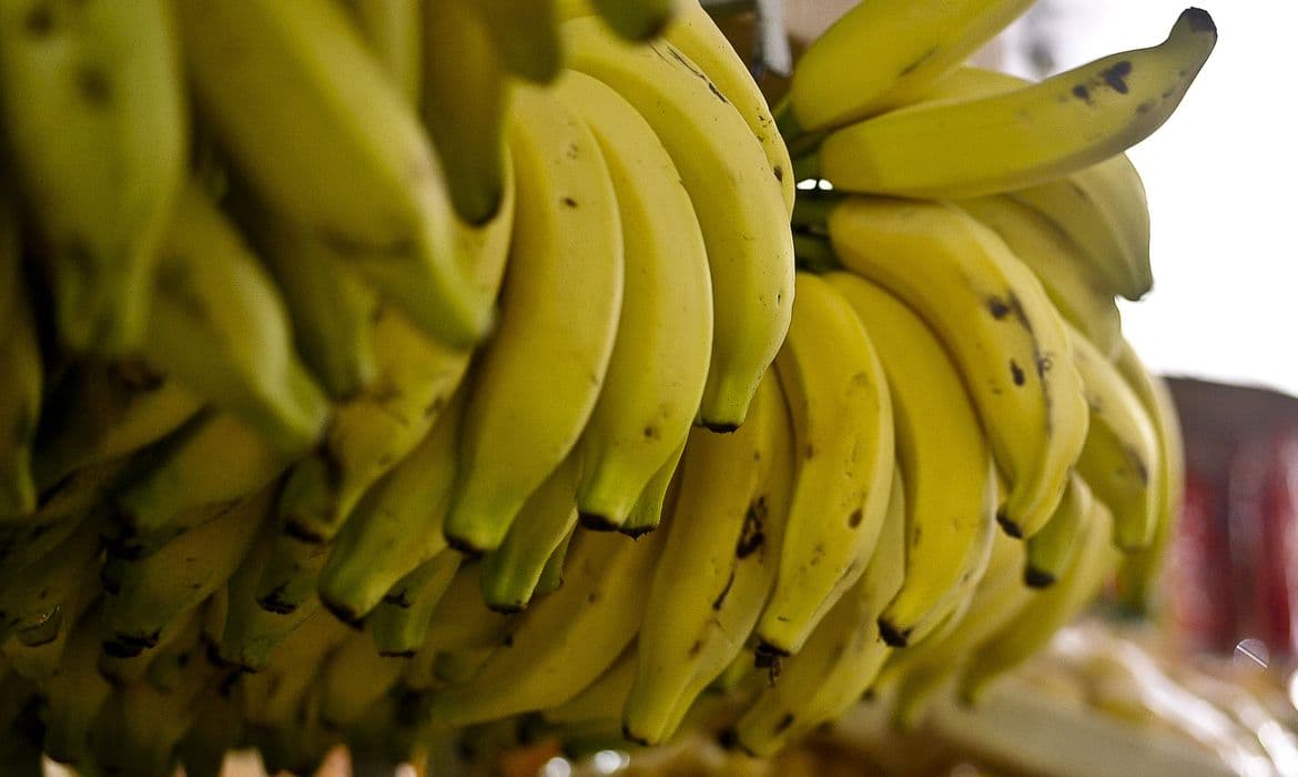 Menor oferta eleva preços de hortaliças e frutas em setembro