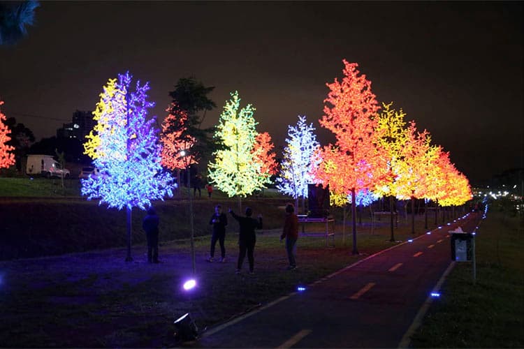 Bosque de Luz leva encanto ao Parque Linear de PG