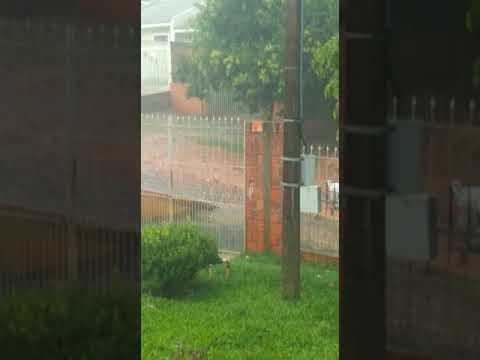 Chuvas causam estrago em Ponta Grossa