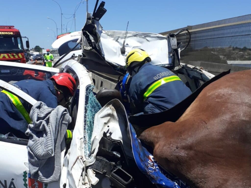 Carro da SESA atropela dois cavalos e motorista fica gravemente ferido