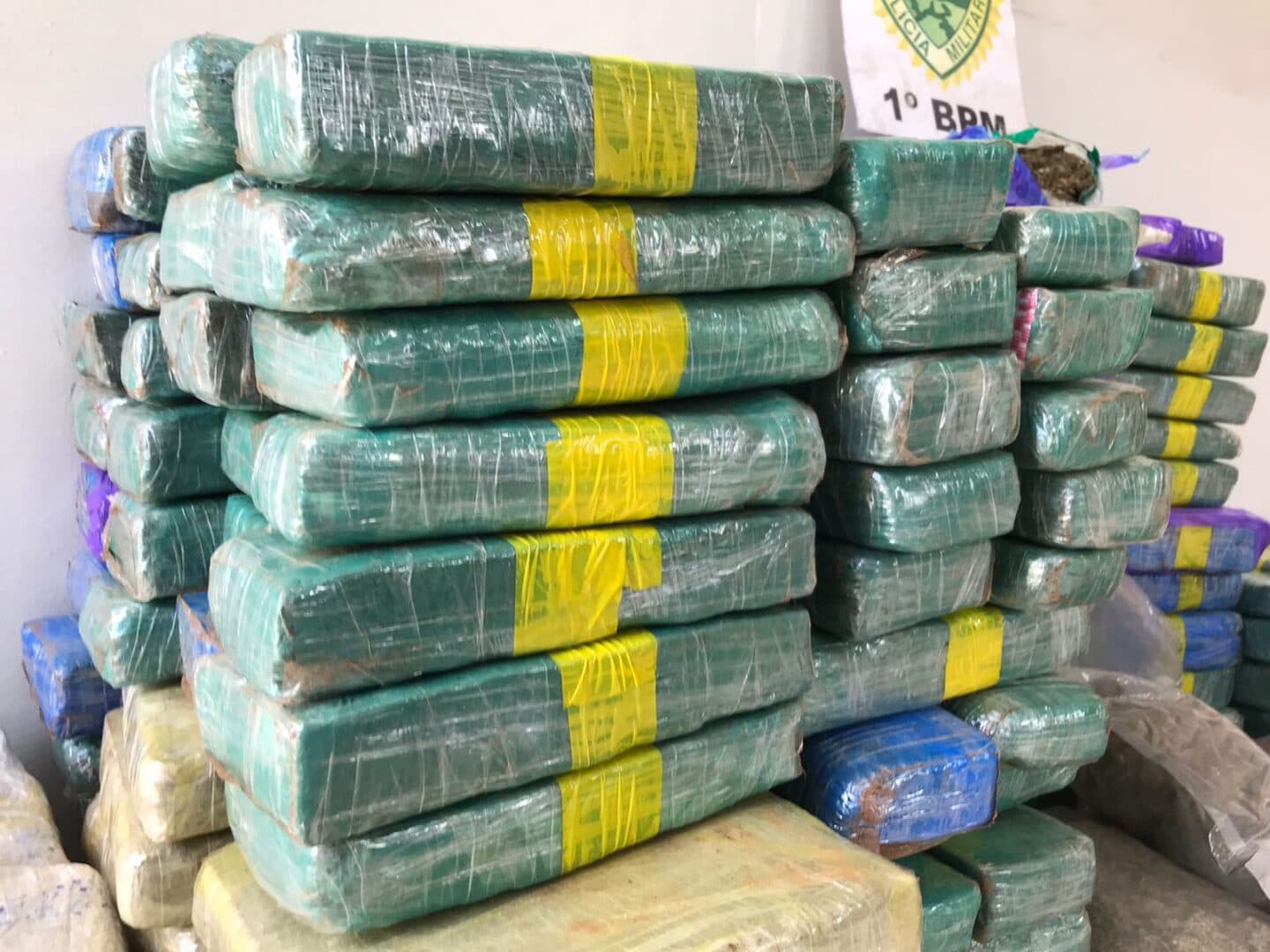 PM apreende R$500 mil em drogas com jovens em PG