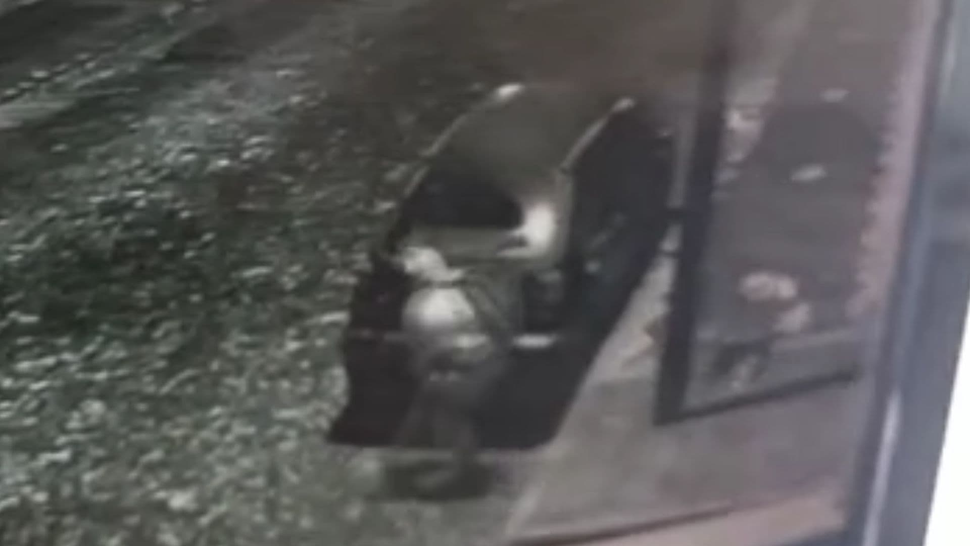 Vídeo mostra ação de assaltante em PG; dono procura veículo