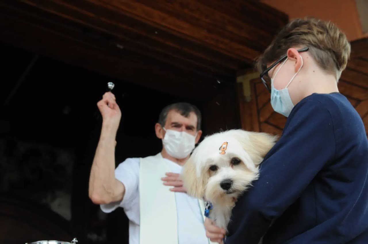 Dia de São Francisco terá bênção de animais em PG