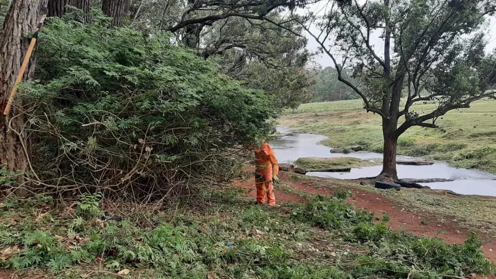 Ponta Grossa inicia revitalização no Balneário Rio Verde