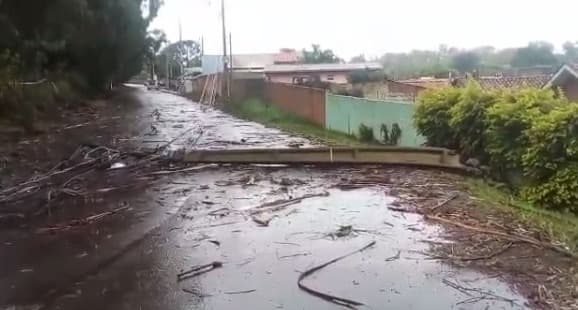 Chuva derruba árvore, poste e causa transtorno em bairro de PG