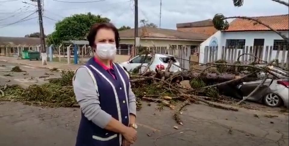 “Escapamos por milagre”, diz professora que teve o carro esmagado