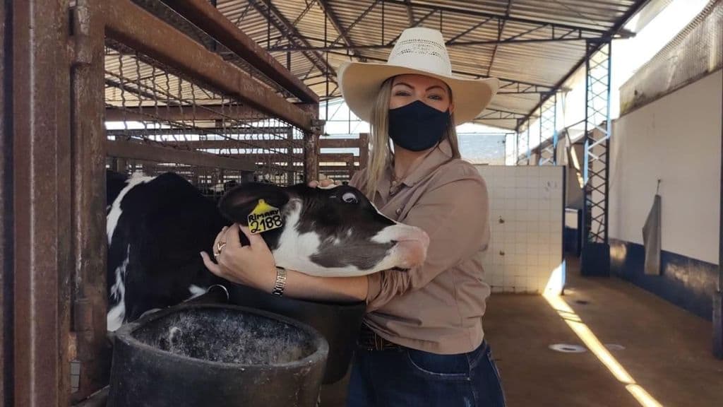 Agropecuária brasileira tem crescimento expressivo no ano de 2020
