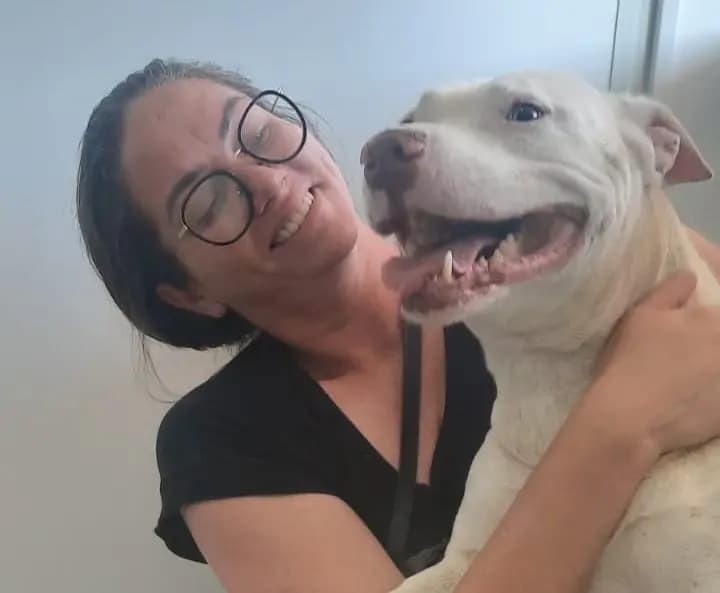 Família de PG realiza rifa para custear tratamento de câncer de cachorrinha