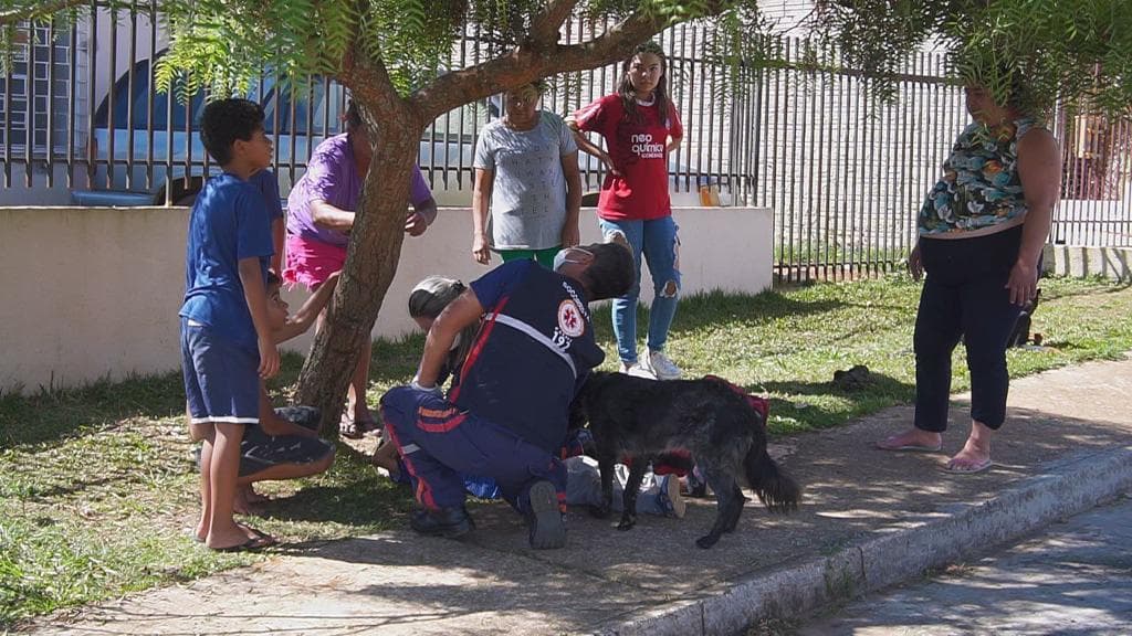 Criança cai de árvore e tem suspeita de fratura na clavícula