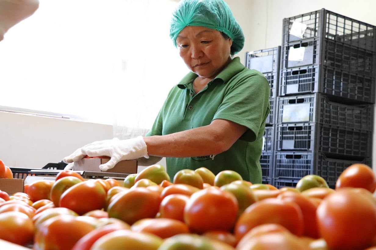 Cesta básica custa 70% de um salário mínimo em PG, aponta pesquisa da UEPG