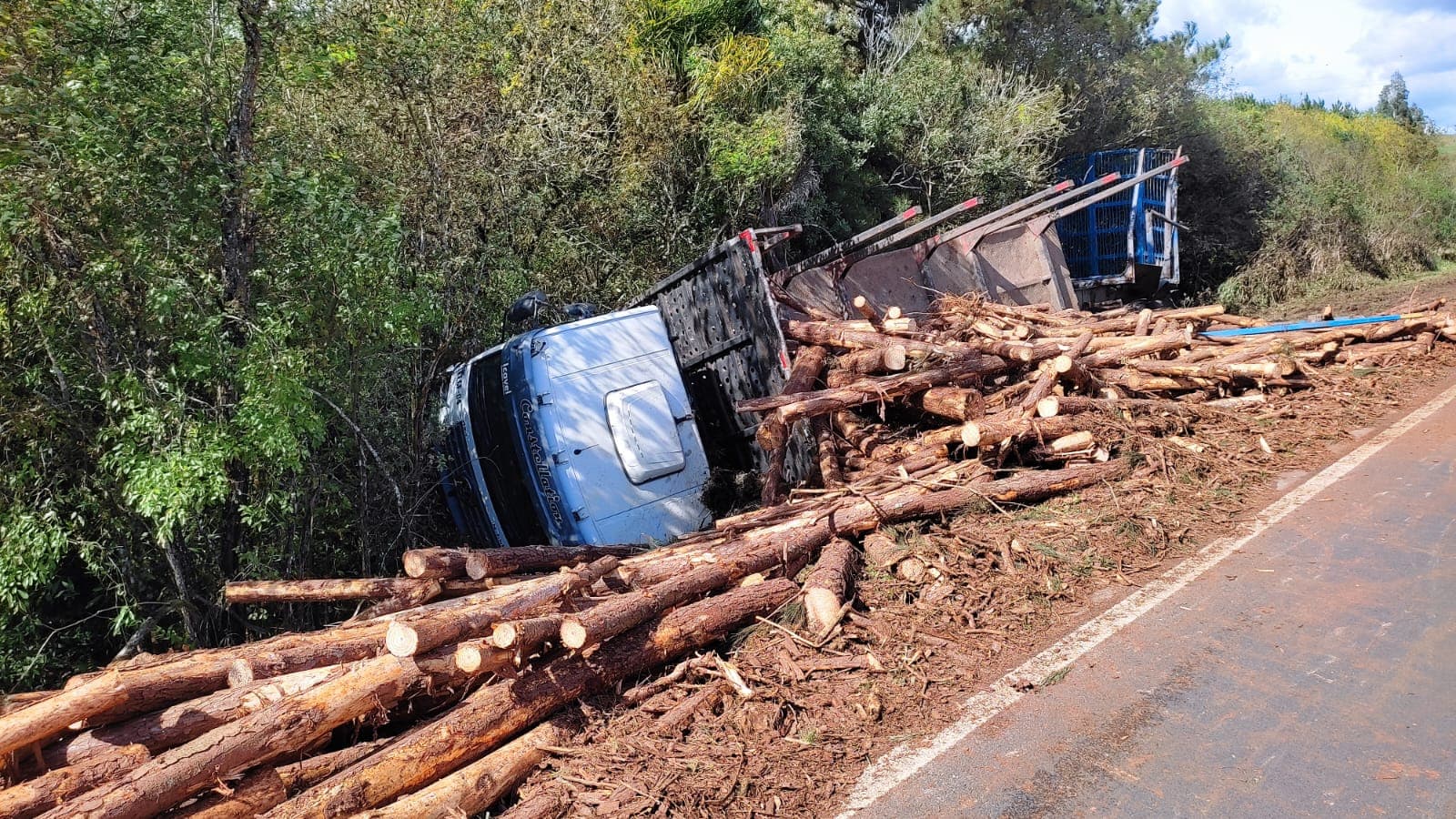 Caminhão carregado de tora tomba em PG