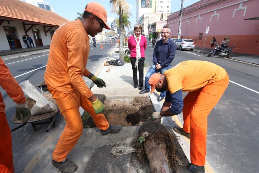 Elizabeth acompanha plantio de árvores no centro de PG