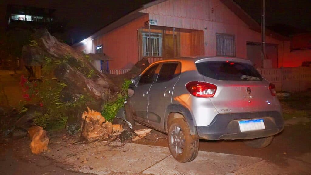 Motorista ‘alterado’ derruba árvore e muro de residência PG