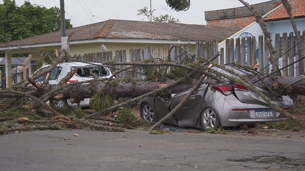 Confira imagens impressionantes dos prejuízos causados por vendaval em PG