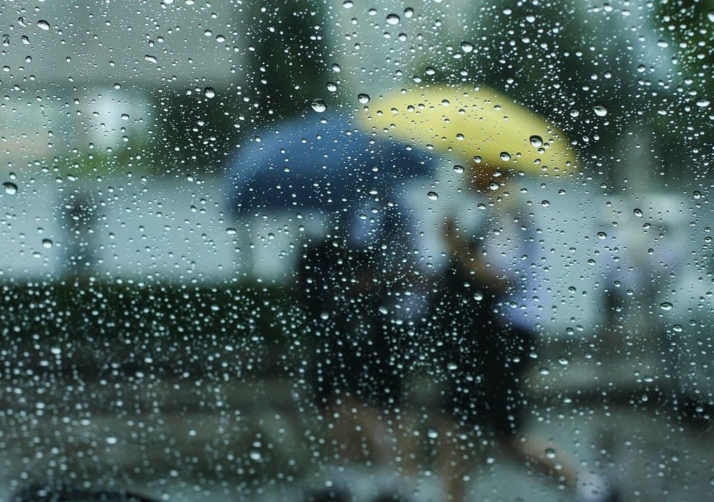 Mais uma quinta-feira chuvosa nos Campos Gerais