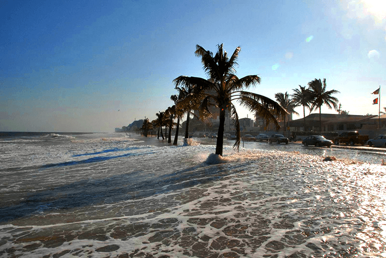 Nível do mar continua a subir em ritmo alarmante, alerta relatório